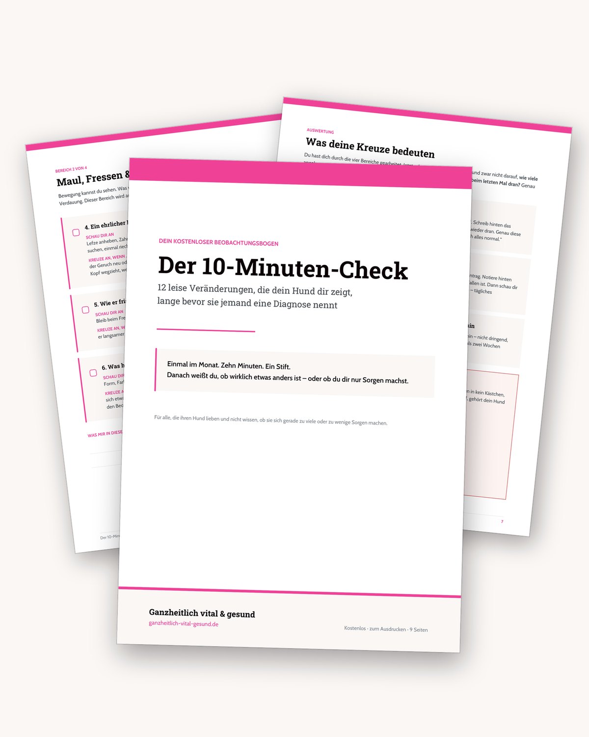 Der 10-Minuten-Check: Titelblatt, ein Beobachtungsbogen mit Kästchen zum Ankreuzen und die Auswertungsseite, aufgefächert nebeneinander.